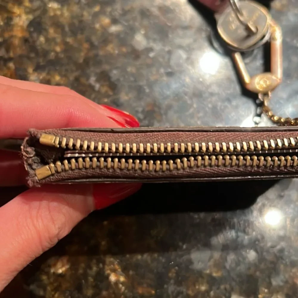 Louis Vuitton authentic louis